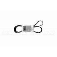 Pubert 0306030032 Ремень привода для Promo в Смоленске