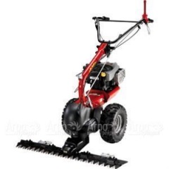 Бензиновая сенокосилка Eurosystems P-70 EVO B&S 850E Series в Смоленске