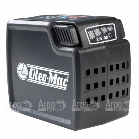 Аккумулятор Oleo-Mac 2.5 Ач 40 В  в Смоленске