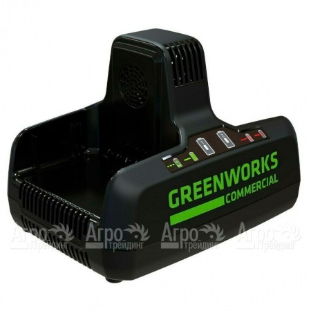 Быстрое зарядное устройство GreenWorks G82C2  в Смоленске