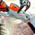 Аккумуляторная пила Stihl MSA 140 C-BQ SET-12 в Смоленске